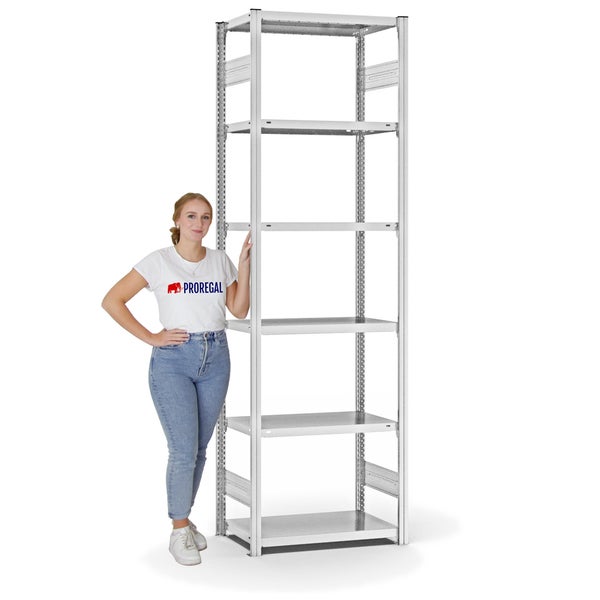 PROREGAL Fachbodenregal Stecksystem T-Profil Light-Duty Grundregal HxBxT 250 x 75 x 40 cm 6 Ebenen Fachlast 145 kg Beidseitig Nutzbar Lichtgrau