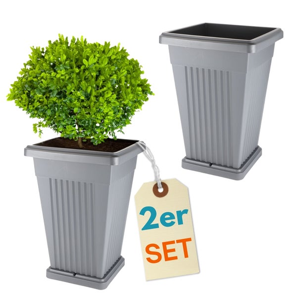 Zweiteiliges Pflanztopfset mit Pflanze