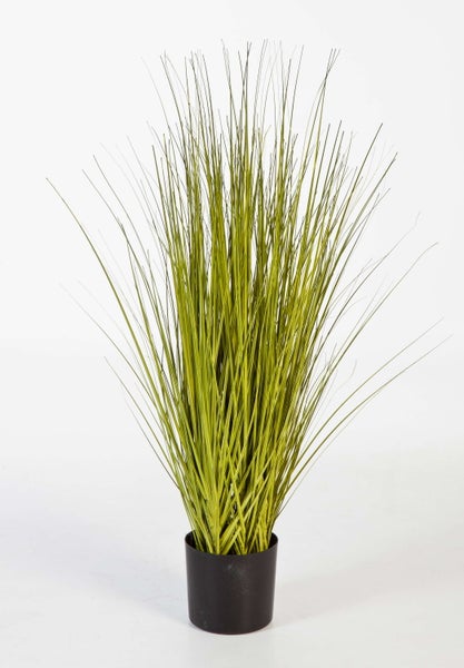 Künstliche Graspflanze in einem schwarzen Topf mit feinen grünen Halmen.