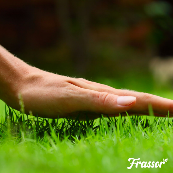 Hand auf grüner Rasenfläche