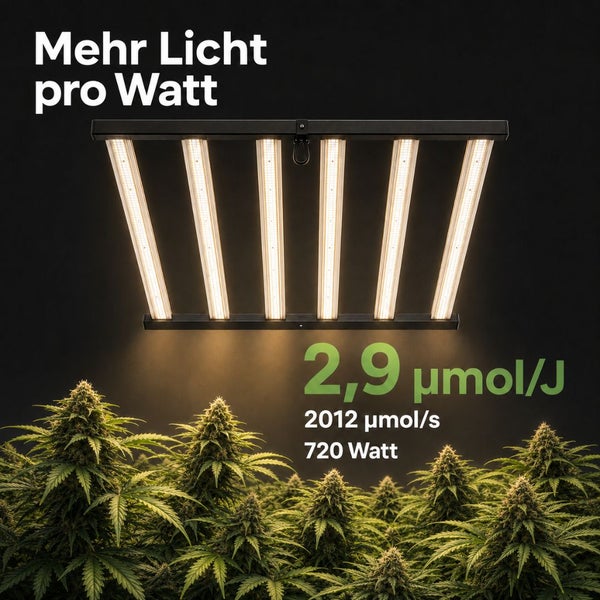 LED-Pflanzenlampe mit sechs Lichtleisten über Pflanzen hängend, 720 Watt Leistung, 2,9 Mikromol pro Joule und 2012 Mikromol pro Sekunde.