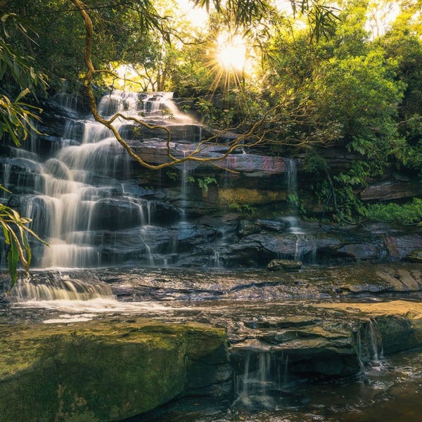 Wasserfall im Wald mit fließendem Wasser über Steine und Vegetation