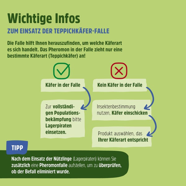 Teppichkäfer Pheromonfalle