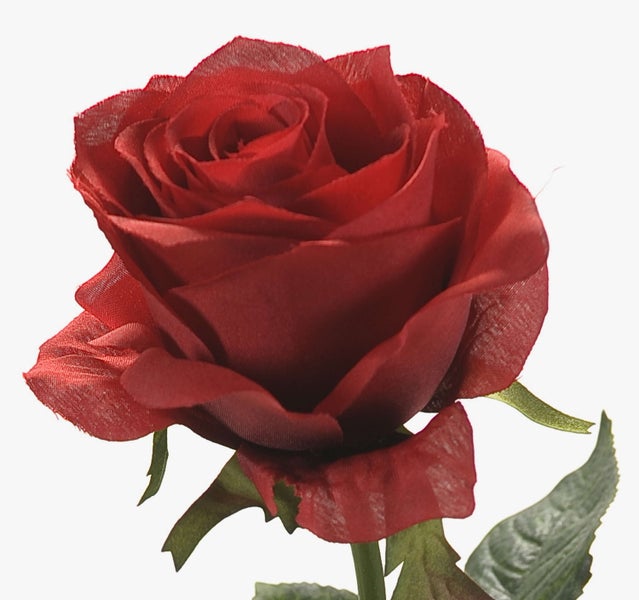 Künstliche rote Rose aus Textil.