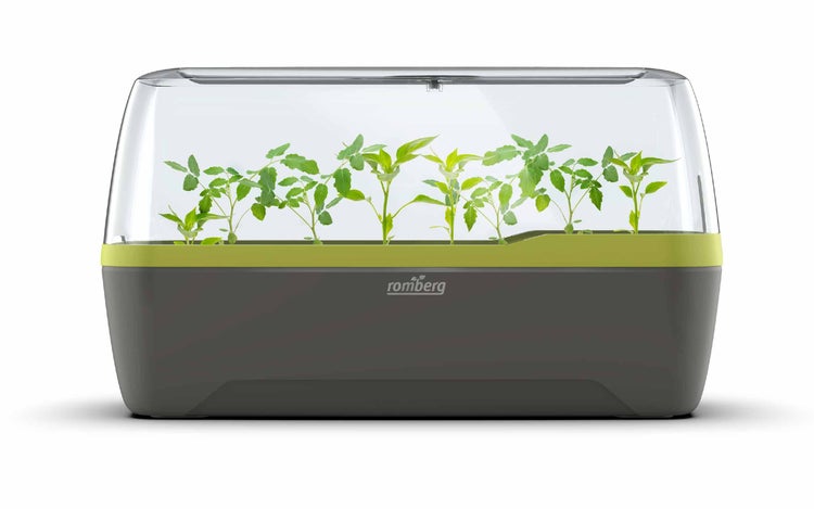 Romberg BoQube L Plus Zimmergewächshaus XL Anzuchtkasten mit Belüftung für optimales Pflanzenklima