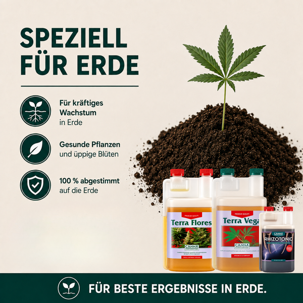 Regalboden mit blauen Regalleitern