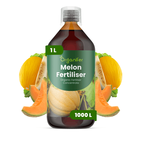 Organifer Melonendünger, organisches Düngerkonzentrat, 1 Liter Flasche für circa 1000 Liter Gießwasser.