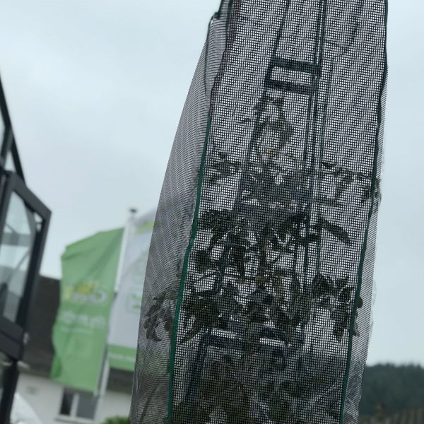 SFA SaniAccess Pump: 5 Meter Förderhöhe, 50 Liter pro Minute Kapazität, 46 Dezibel, 3 Zuläufe für Küche und Bad ohne Toilette.