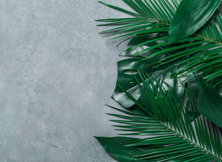 Dekorative tropische Blätter wie Palmwedel und Monstera auf einer strukturierten Oberfläche.