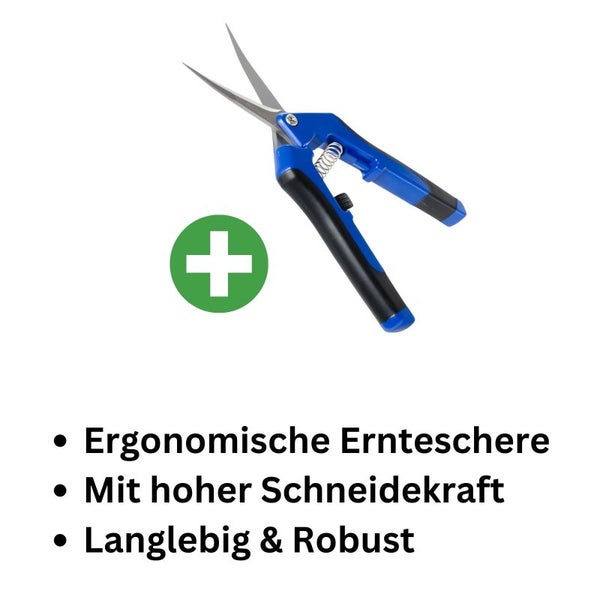 Gartenschere gebogen – Präzisionsschere für saubere Schnitte bis 15 mm Ø | Ideal für Rosen, Kräuter, Blumen & Bonsai | Ergonomisch & Vielseitig
