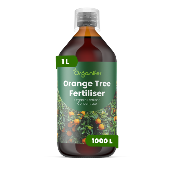 Organifer Orangenbaumdünger, organisches Konzentrat, 1-Liter-Flasche mit Messbecherverschluss.