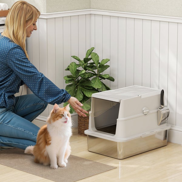 Szene mit einer Frau, einer Katze und einer geschlossenen Katzentoilette