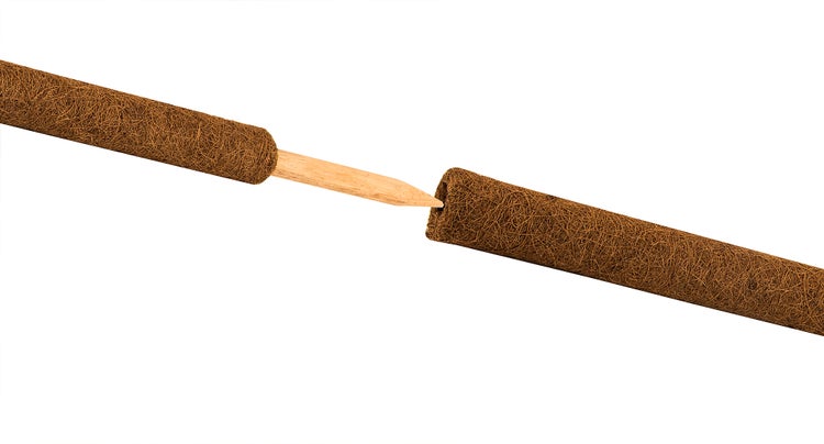 Pflanzstab Kokos 80 cm Rankstab Rankhilfe Blumenstab Kokosstab zur Dekoration aus natürlicher Kokosfaser verlängerbar