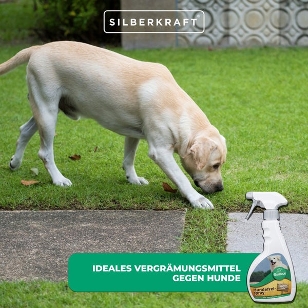 Silence Hundefrei Spray zur Hundeabwehr für Garten, Hauswand, Carport, Rasen und Beete, Vergrämungsmittel gegen Hundeurin, Markieren und Hundekot, Hunde fernhalten im Außenbereich
