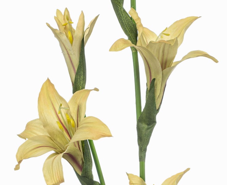 Künstliche Lilie mit zwei gelben Blüten und grünem Stiel für die Innendekoration.