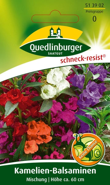 Quedlinburger Saatgut Samentüte für Kamelien-Balsaminen Mischung, schneckenresistent, Wuchshöhe circa 60 Zentimeter, Quedlinburger Logo.