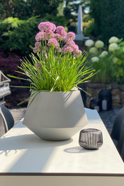 Moderner, hellgrauer geometrischer Pflanzkübel mit lila Allium-Blüten auf einem weißen Gartentisch neben einem kleinen Windlicht im Garten.