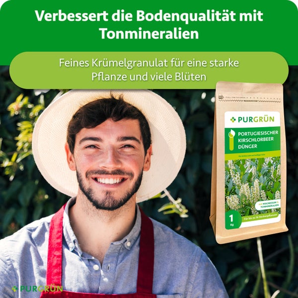 Ein fröhlicher Gärtner mit Hut und Purgrün Logo neben einer Packung Portugiesischer Kirschlorbeer Dünger mit Tonmineralien und Magnesium.