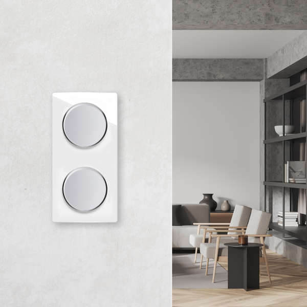 Doppelwippschalter mit zwei runden Wippen in einem modernen Wohnraum mit Sesseln und Regal.