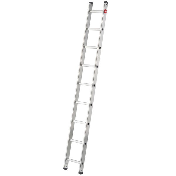 Eine Hailo Anlegeleiter aus Aluminium mit mehreren Sprossen für den professionellen oder privaten Einsatz.