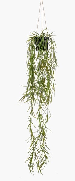 Künstlicher Efeu-Hänger mit panaschierten grün-weißen Blättern.