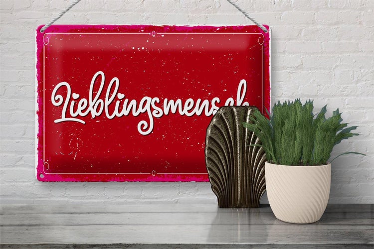 Blechschild Spruch 30x20cm Lieblingsmensch