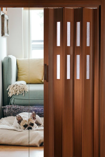 Holzfarbene Falttür mit Glaseinsätzen in einem hellen Raum mit Hund auf einem Kissen
