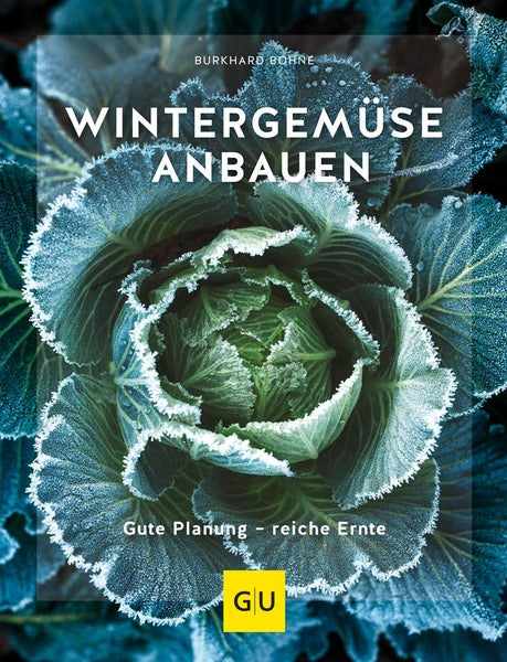 Wintergemüse anbauen Gute Planung - reiche Ernte