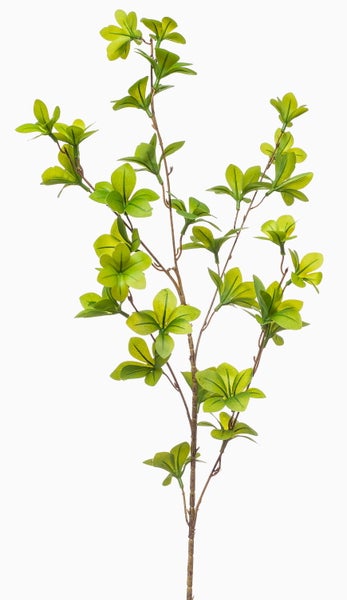 Künstlicher Zweig mit grünen Blättern für die Dekoration.