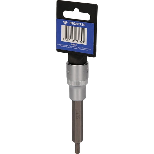 Torx-Bit-Einsatz mit Halterung