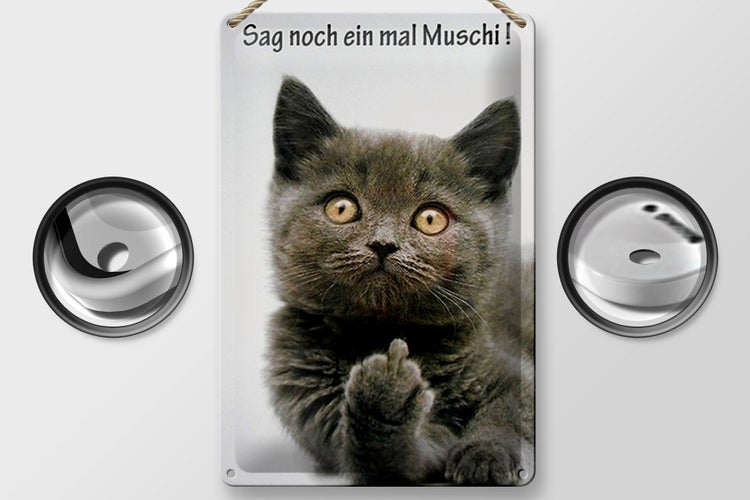 Blechschild Spruch 20x30cm Katze sag noch ein mal Muschi