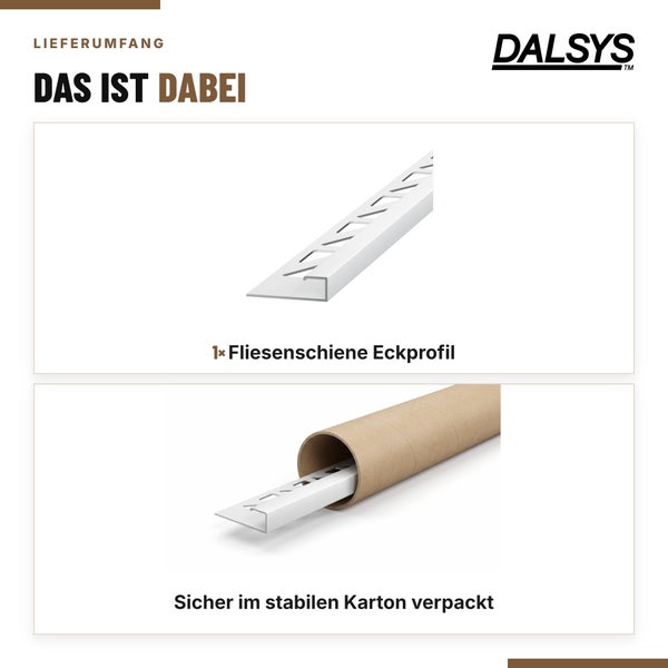 Dalsys Fliesenschiene Eckprofil in stabiler Kartonverpackung fuer sicheren Transport und Lagerung.
