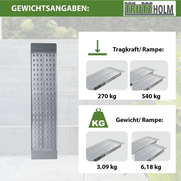 TRUTZHOLM 1 x Auffahrrampe 100 x 28 cm 270kg Alu gelocht Verladerampe Motorradrampe Sicherungsbolzen