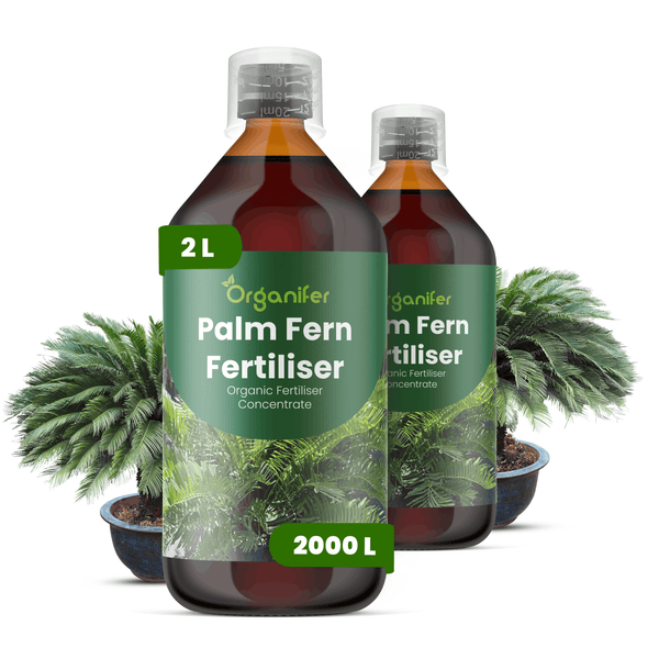 Organifer Palm Fern Fertiliser, zwei 2 Liter Flaschen organisches Düngerkonzentrat für circa 2000 Liter.