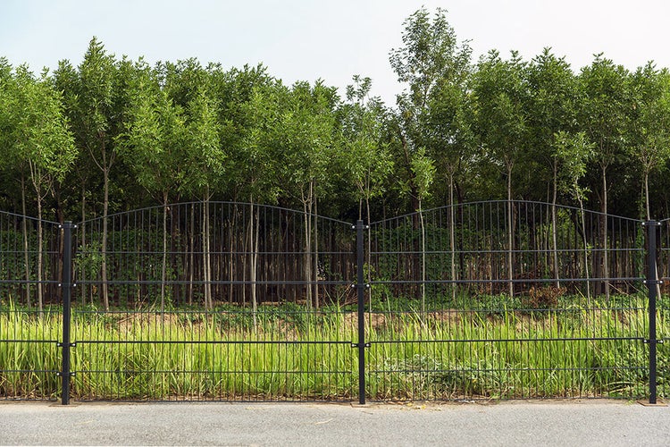 Doppelstabmattenzaun MORATA Berg Höhe: 200 cm / Länge: 30 m ohne Eckpfosten I Gartenzaun, Mattenzaun