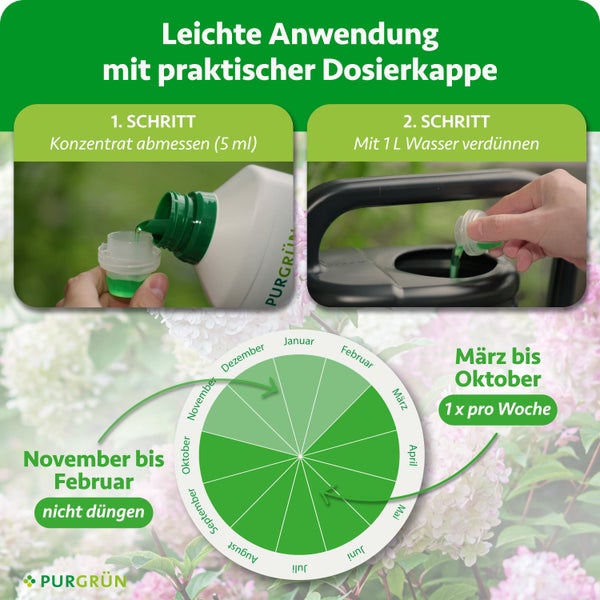 Anwendung: Konzentrat abmessen (5 Milliliter), mit 1 Liter Wasser verdünnen. Düngekalender von März bis Oktober (einmal pro Woche). Purgrün Logo.