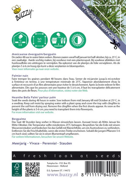 Informationen zur Aussaat der Bergpalme