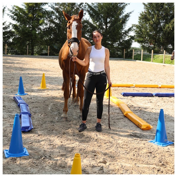 Frau und Pferd auf einem Reitplatz mit blau-gelben Trainingshilfen wie Pylonen und Softstangen für die Bodenarbeit.