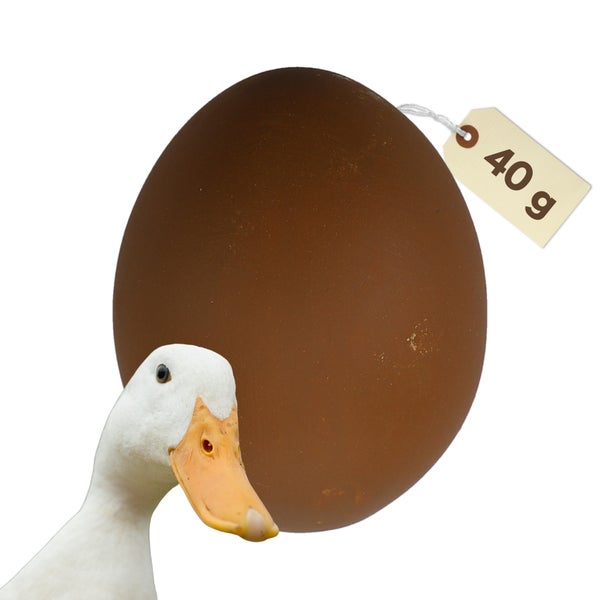 Ein braunes Ei mit einem Etikett, das 40 Gramm anzeigt, und eine Ente