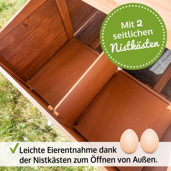 Innenansicht eines Hühnerstalls aus Holz mit zwei seitlichen Nistkästen zur einfachen Eierentnahme von außen.