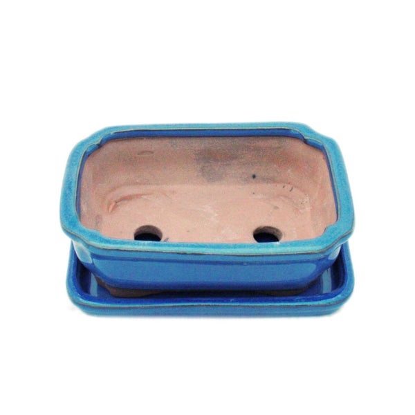 Dekorative Zimmerpflanzen und Beistelltische aus Metall für ein stilvolles Ambiente