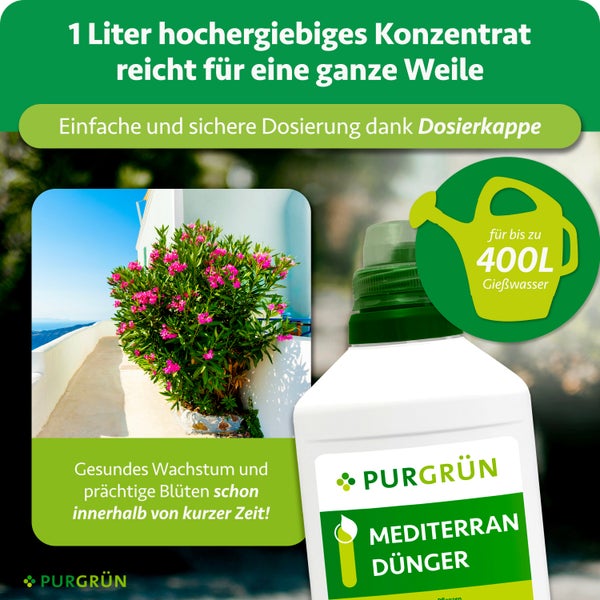 Purgrün Mediterraner Dünger Konzentrat 1 Liter für bis zu 400 Liter Gießwasser, mit Dosierkappe für gesundes Pflanzenwachstum und prächtige Blüten.