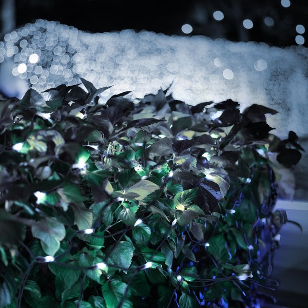 ECD Germany LED Lichternetz mit 320 Kaltweiße LEDs, 3x1,5 m, Weihnachten LED Lichtervorhang Lichterkette Weihnachtsbeleuchtung Lichterkettenvorhang, für den Innen- und Außenbereich, IP44 Wasserdicht