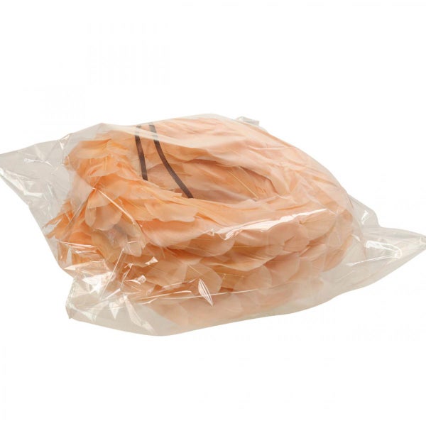 Dekorative Federn in Kunststoffverpackung