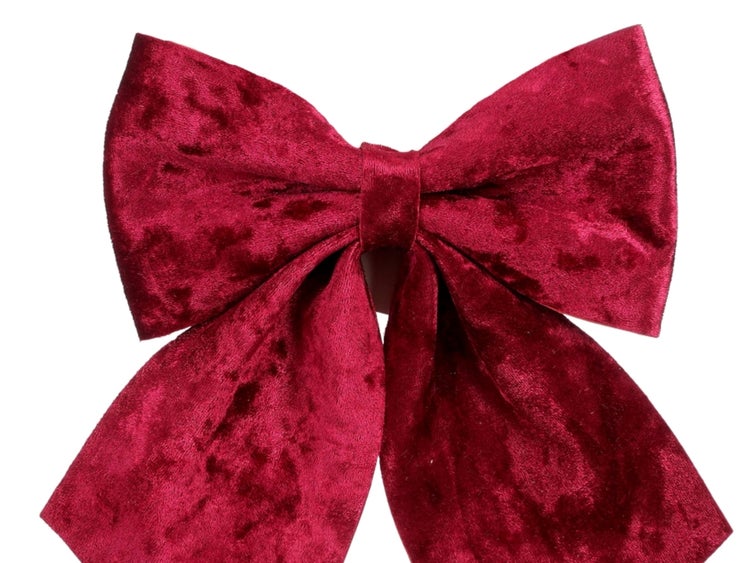 Rote Fliege 20 x 24 cm