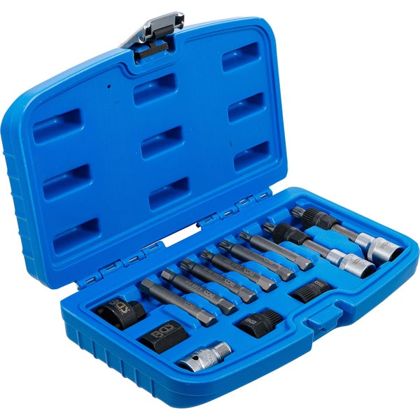 BGS Lichtmaschinen Bit-/Bit-Einsatz-Satz Antrieb 12,5 mm (1/2) 13tlg. - 4246