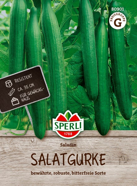 Sperli Saatgut Salatgurke Saladin für das Gewächshaus, widerstandsfähige und bitterfreie Sorte mit circa 35 Zentimeter langen Früchten.