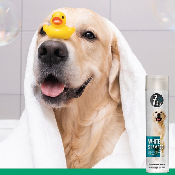 White Shampoo – Pflegendes Hundeshampoo für helles Fell mit Provitamin B5 & Vitamin E – Sanfte Reinigung & Glanzpflege für empfindliche Hundehaut