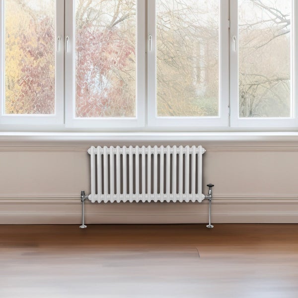 Traditioneller 2-Spalten-Heizkörper - 300 x 832 mm - Weiß