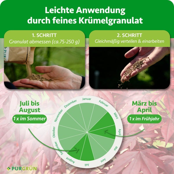 Anleitung für Purgrün Dünger: Granulat abmessen (circa 75 bis 250 Gramm) und verteilen. Mit Anwendungsplan für Frühjahr und Sommer. Purgrün Logo.